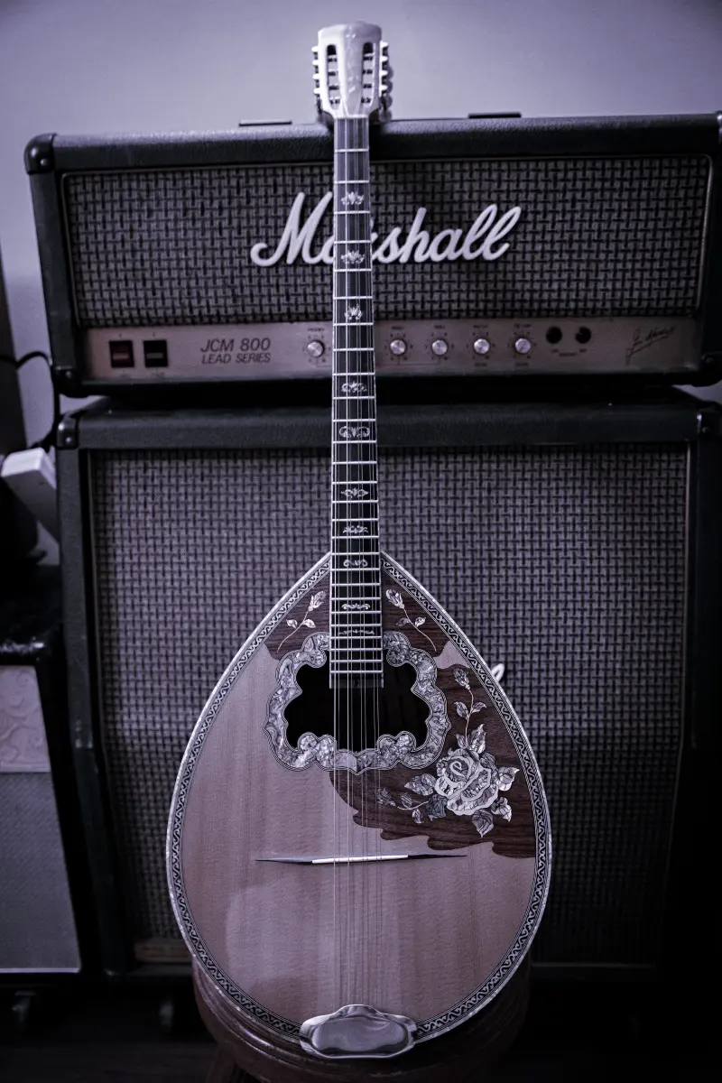 Semplovanje buzukija u Brma Music studiju