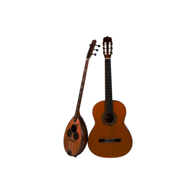 Zicani-webpp